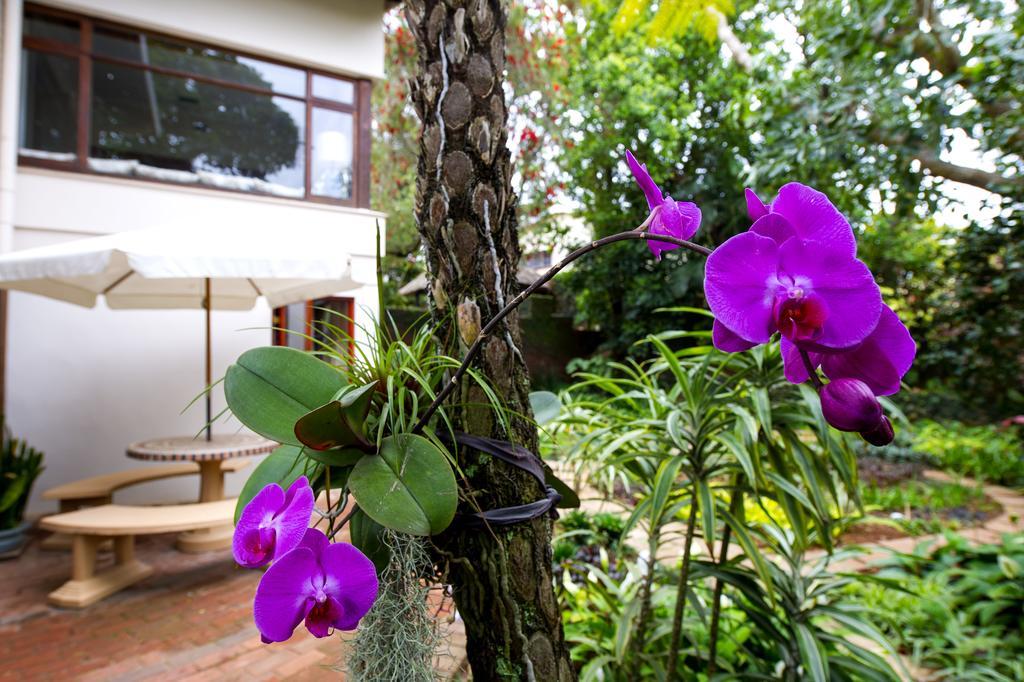 Oliveroom Self Catering And B&B Durban Exterior photo